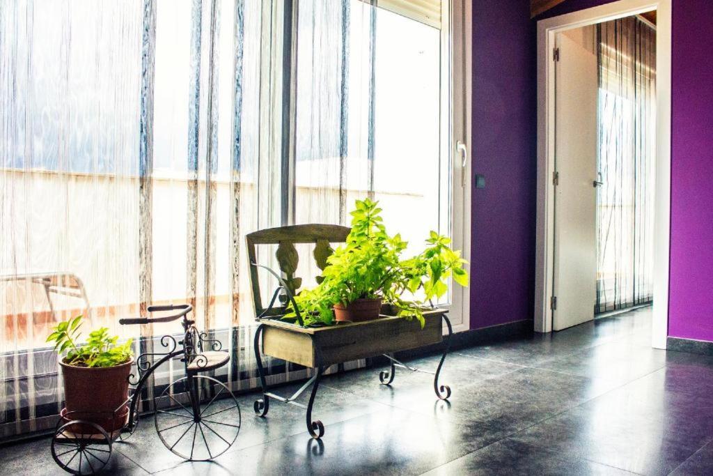 Apartamento Con Estilo Y Acogedor سانت ماتيو المظهر الخارجي الصورة